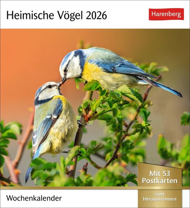 Produktbild Harenberg Heimische Vögel Postkartenkalender 2026 - Wochenkalender mit 53 Postkarten (Deutsch)