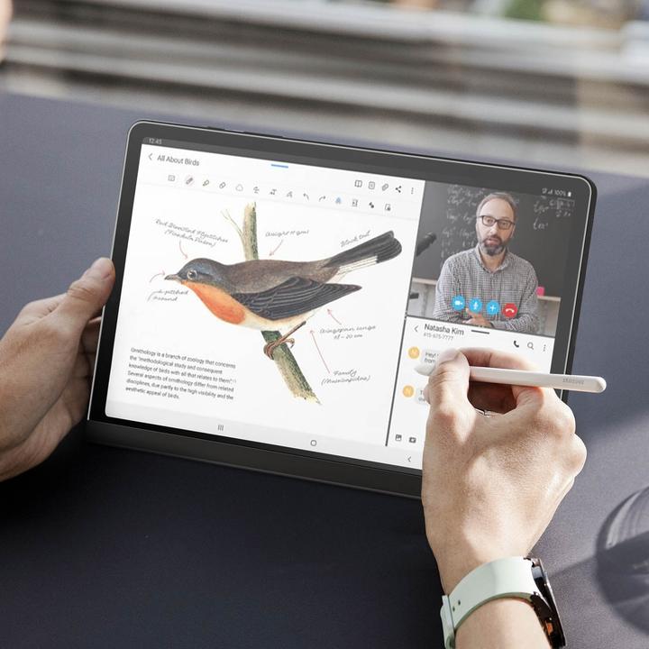 Produktbild Samsung Privacy Screen Cover (1 Stück, Galaxy Tab S9)