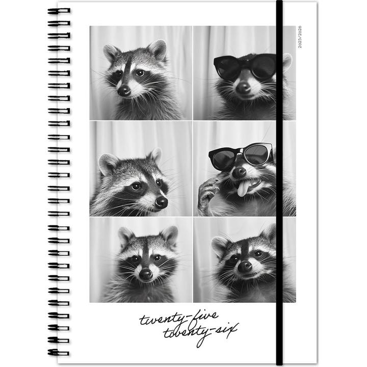 Image du produit Simplex Schüleragenda Emotions 25/26 500216.26 1W/2S 17M Racoon ML 14.8x21cm (14.8 x 21 cm, Rhaeto-Romanique, Allemand, Français, Italien)