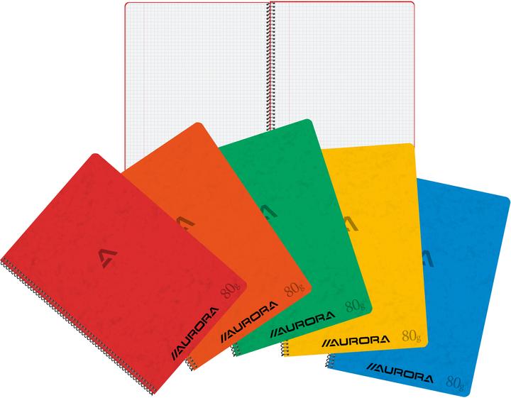 Image du produit Aurora Carnet de notes Reliure spirale DIN A4 Quadrillé Carton Couleur assortie (A4, Quadrillé)