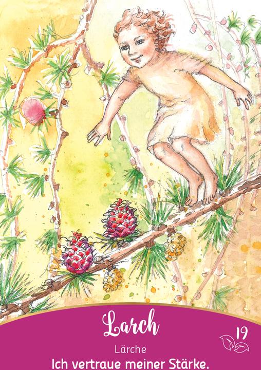 Produktbild Bachblüten-Botschaften - Wie die Seelenpflanzen dir helfen (Deutsch, Irene Drexler, 2024)