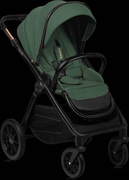Actual product image Lionelo LAYLA 3IN1