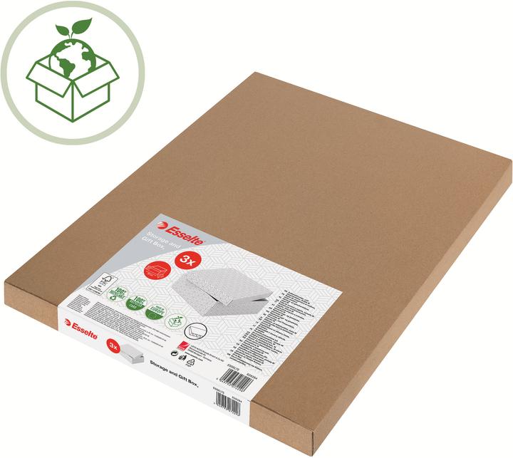 Produktbild Esselte HOME - Aufbewahrungsboxen (A3)