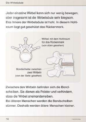 Produktbild Ich kenne meinen Körper - Skelett, Muskeln und Wirbelsäule (Deutsch, Katrin Langhans, 2015)