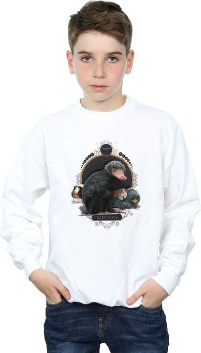 Actual product image Fantastic Beasts Boys Baby Nifflers Sweatshirt (152, 158)
