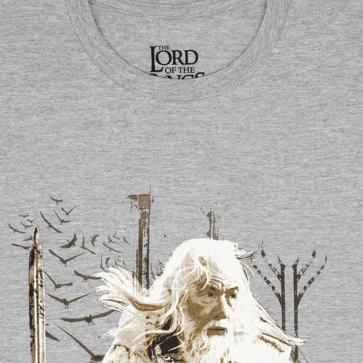 Actual product image Lord of the rings Tshirt (S)