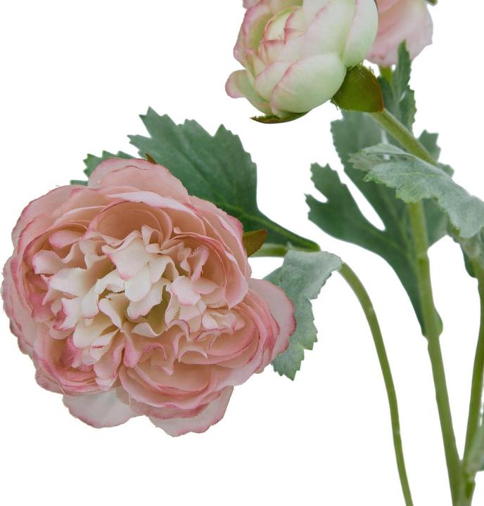 Immagine prodotto Hill Interiors The Natural Garden Collection Ranunculus Fiore Artificiale (50 cm)