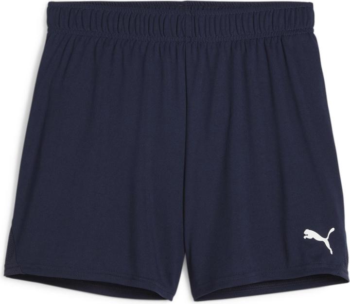 Puma teamGOAL Handball Shorts W