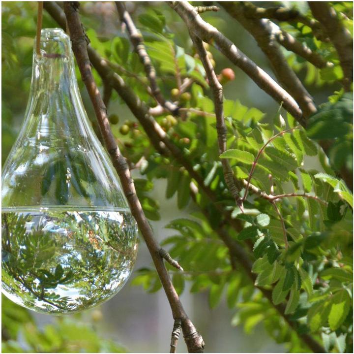 Produktbild Esschert Design Fliegenvertreiber (825 ml)
