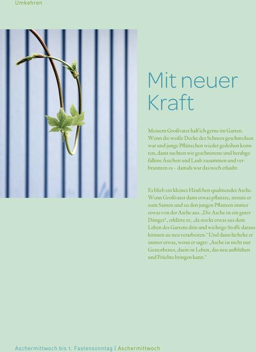 Actual product image Fastenkalendergeschichten (German, Willi Hoffsümmer, 2016)