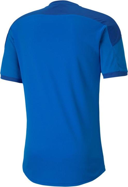 Actual product image Puma teamFINAL 21 Training Jersey-656481 (M)