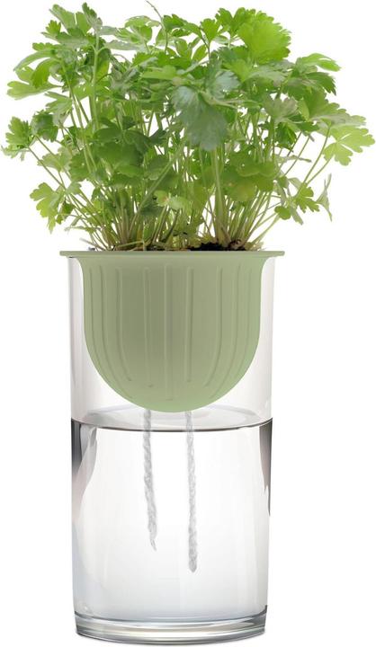 Romberg Hydro Plant Kit (9 cm)