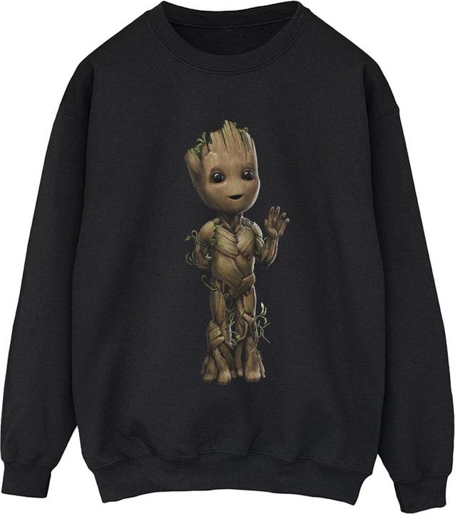 Image du produit - Sweat AM GROOT WAVE POSE - Femme (S)