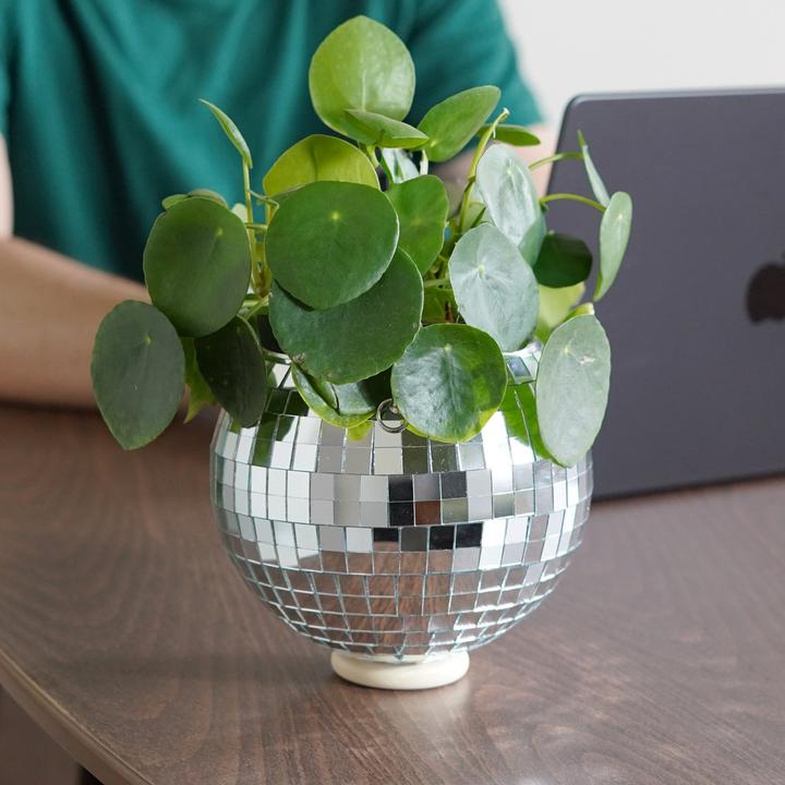 Produktbild Mags Disco Blumen