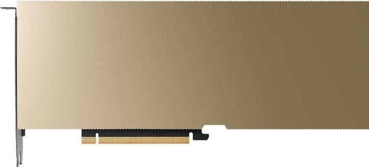 PNY NVIDIA L40S (48 GB)