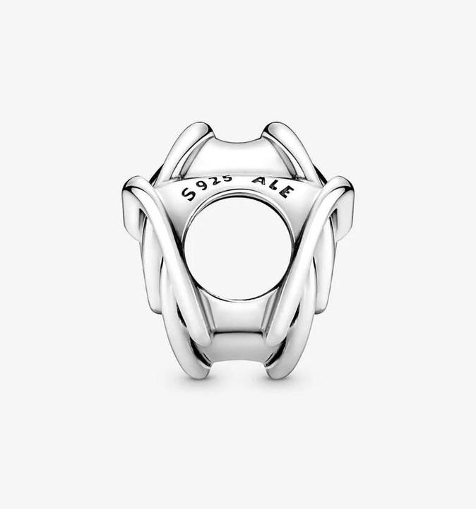 Image du produit Pandora Charm Famille pour toujours (Argent sterling 925)