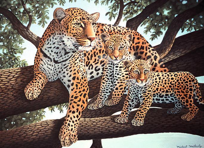 Actual product image Royal & Langnickel Painting by numbers "Leopards", 30 x 40 cm