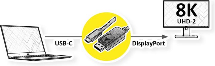 Image du produit Roline Câble adaptateur USB type C-DP 1m v1.4 8K60Hz ST/ST (USB-C, 100 cm)