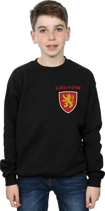 Produktbild Gryffindor Lion Faux Pocket Sweatshirt Jungen (140, 146)