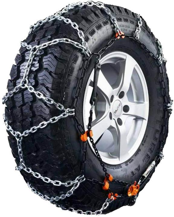 Weissenfels Rex TR RTR groupe 7