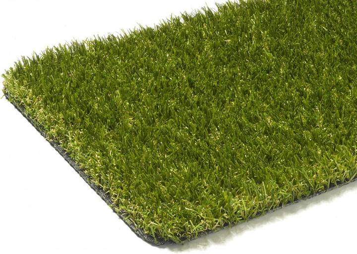 Image du produit Snapstyle Gazon artificiel de luxe Tapis de pelouse Chelsea (100 x 200 cm)