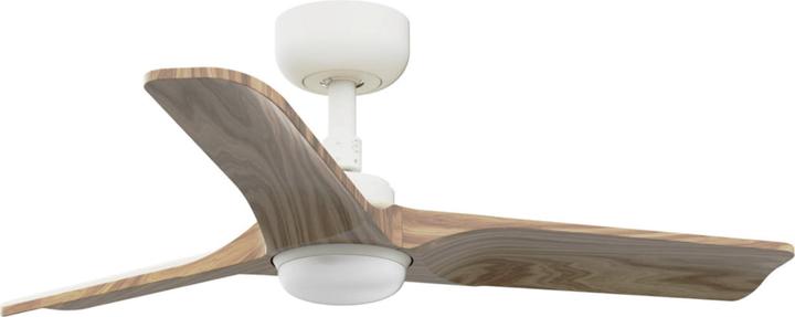 White (housing), Maple (sash)