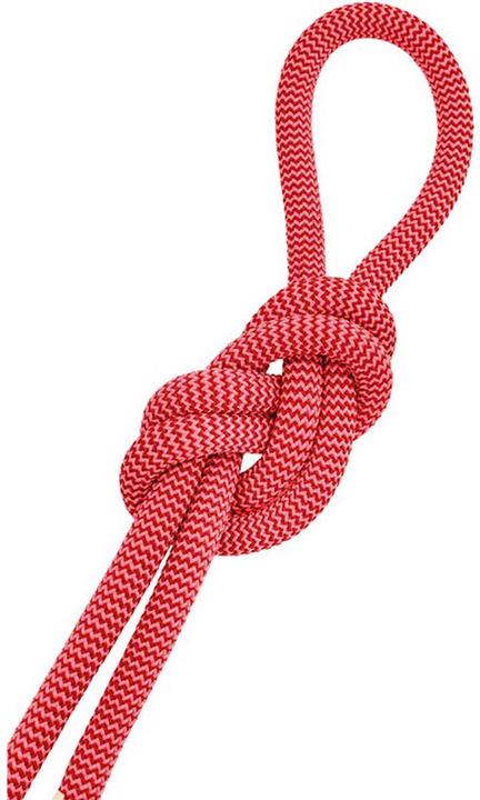 Actual product image Salewa Red 9.6 climbing rope (80 m)