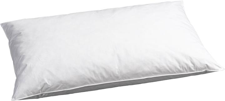 Image du produit Billerbeck Edition Madlen (65 x 65 cm)