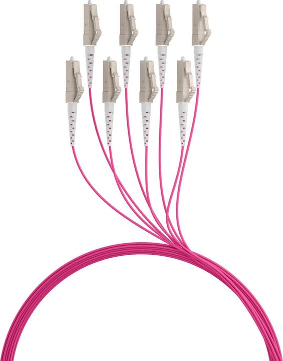 Actual product image EFB Elektronik Trunk cable U-DQ ZN BH OM4 8G 1x8 LC-LC 10m Dca LSZH (10 m)
