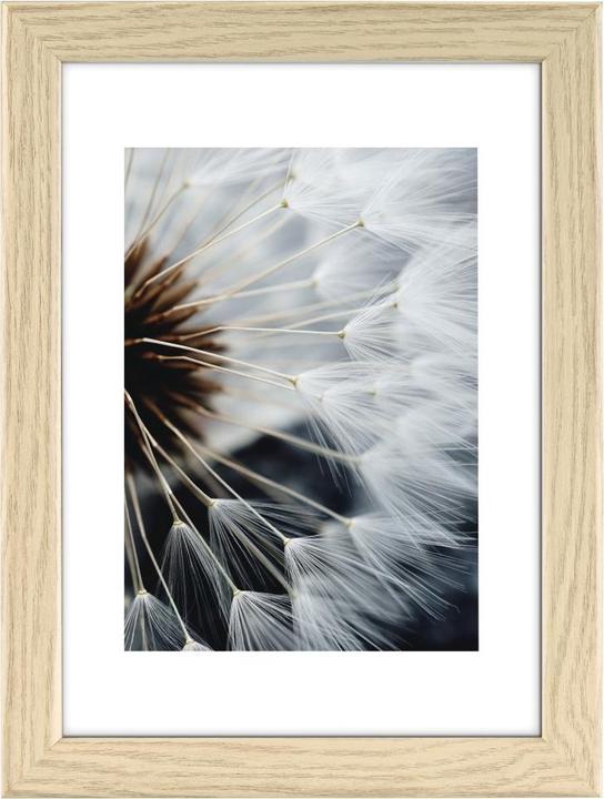 Actual product image Hama breeze (7 x 10 cm)