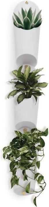 Actual product image Umbra Floralink (10 cm)