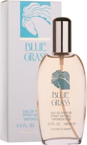 Immagine prodotto Elizabeth Arden Erba blu (Eau de parfum, 100 ml)