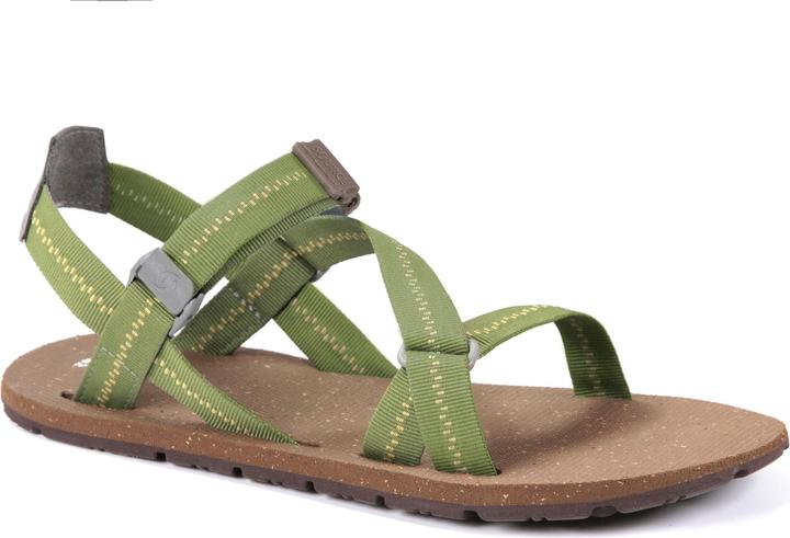 Bronze Green, Footbed Brown