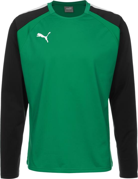 Puma TeamLIGA Trainingssweat Herren