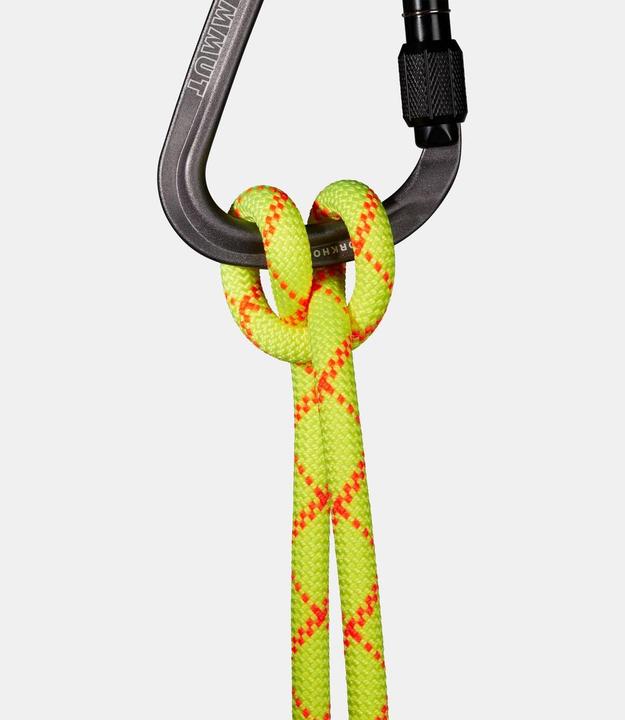 Actual product image Mammut 9.5 Alpine Core Protect Dry Rope (50 m)
