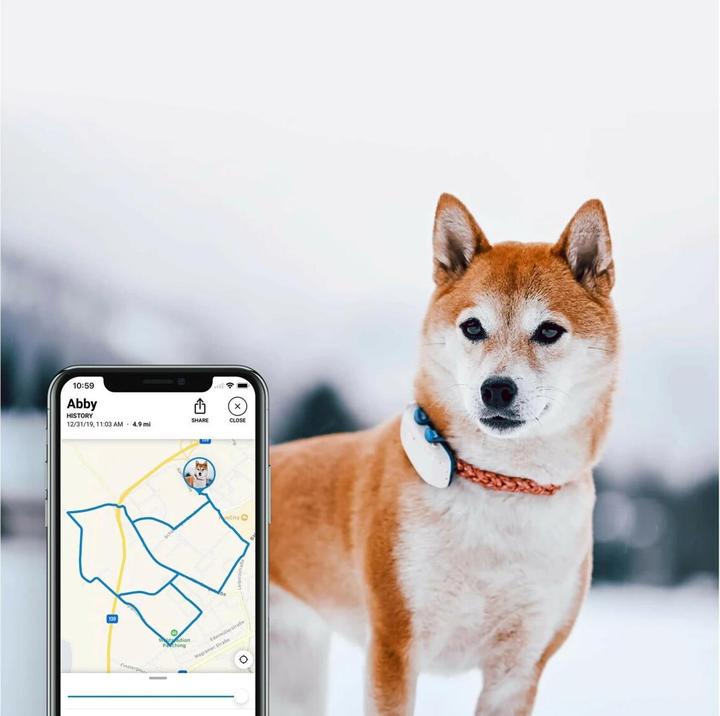 Produktbild Tractive Dog 4 GPS Tracker für Hunde (One Size, Hund, Allgemein)
