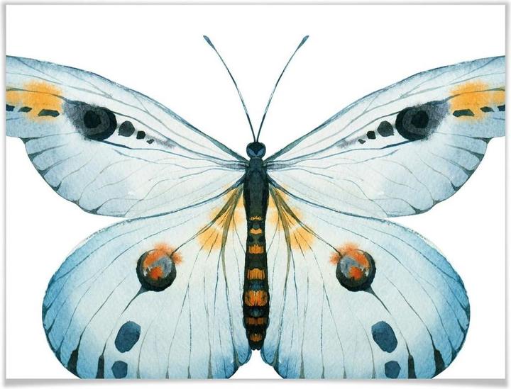 Immagine prodotto Trenddeko Kvilis - Farfalla 03 (40 x 30 cm)