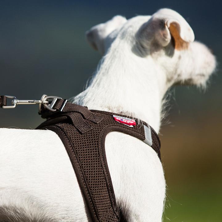 Produktbild Curli Geschirr Vest Air-Mesh 2XS, Ruby (XXS, Hund, Allgemein)