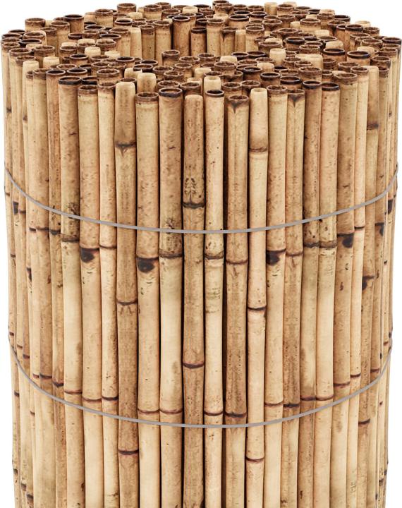 Actual product image Casa.Pro Allzio (150 cm)