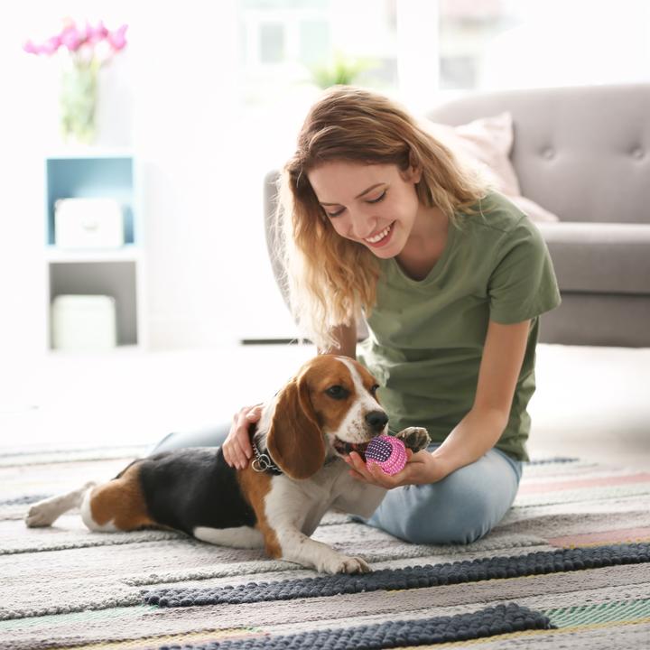 Produktbild Relaxdays Hundespielzeug Set (Plüschspielzeug Hund)