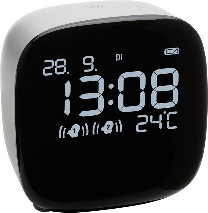 Actual product image TFA Quartz