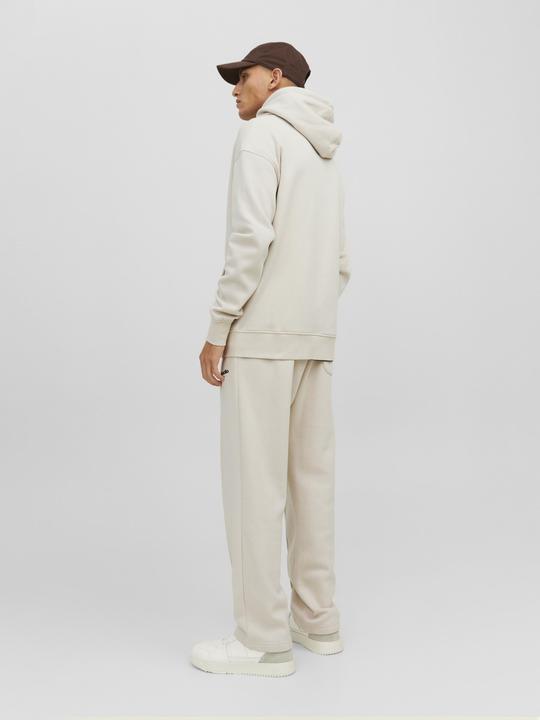 Actual product image Jack & Jones Sweat Hoodie with Zipper (XS)