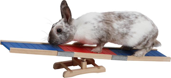 Actual product image Kerbl Rocker (One size, Agility)