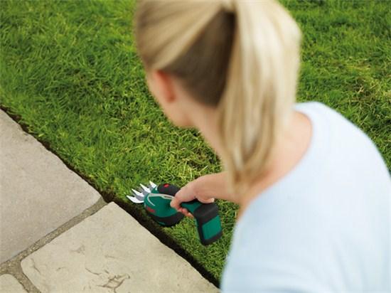 Produktbild Bosch Home & Garden ASB 10.8 LI Set (Akkuheckenschere)
