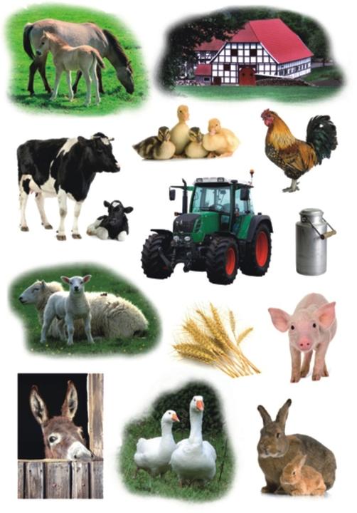 Actual product image Herma Farm stickers