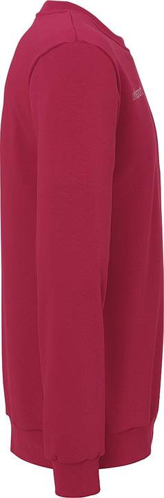 Actual product image Uhlsport Sweatshirt Sweatshirt (140)