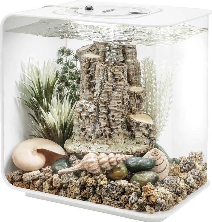 Produktbild Oase biOrb 86372 biOrb Decor Set Forest Rhythym Aquarium-Dekoration (Dekoration, Felsen)