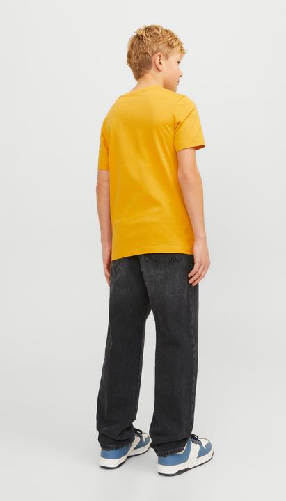 Actual product image Jack & Jones Jjichris Jjoriginal Sq 602 Noos Jnr (176)