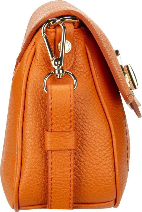 Image du produit Brics Bric's Sac de selle Gondola Gardenia