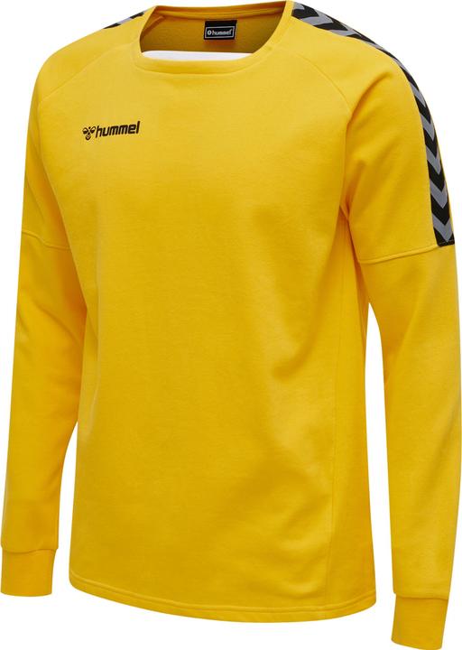 hummel Authentic Training Sweat